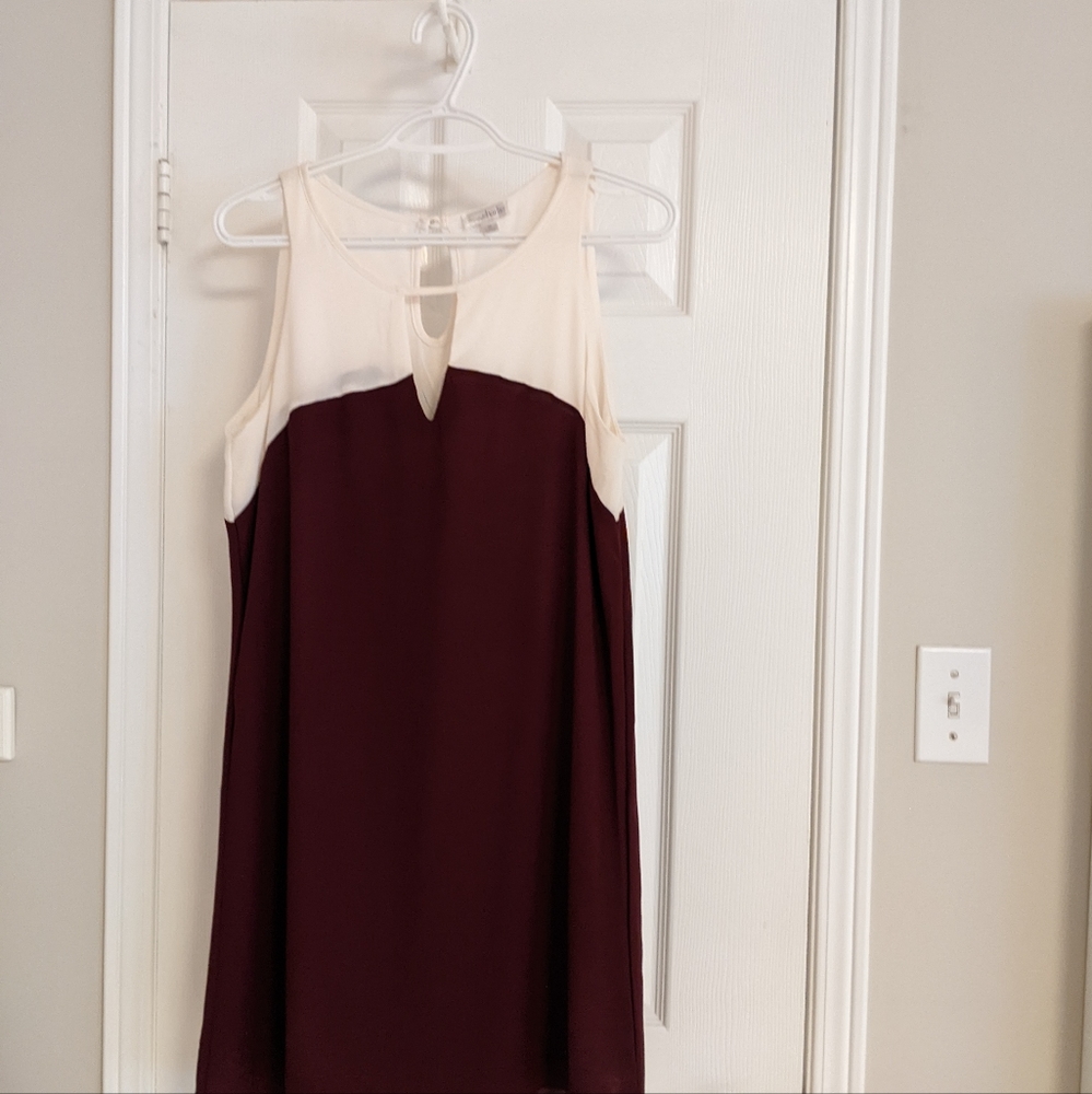 Charming Charlie sleeveless two tone dress